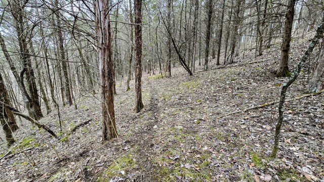 5900 S County Road 700 E, Dillsboro, IN 47018 - photo 45