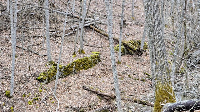 5900 S County Road 700 E, Dillsboro, IN 47018 - photo 57