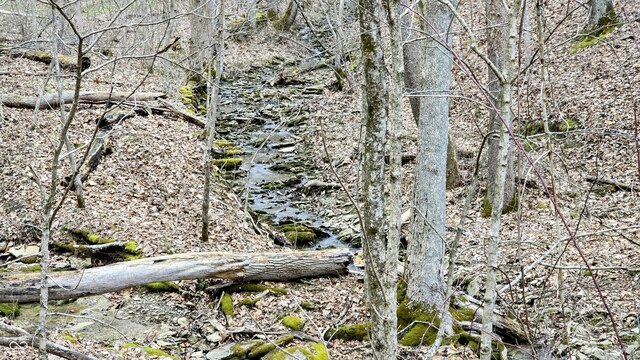 5900 S County Road 700 E, Dillsboro, IN 47018 - photo 35