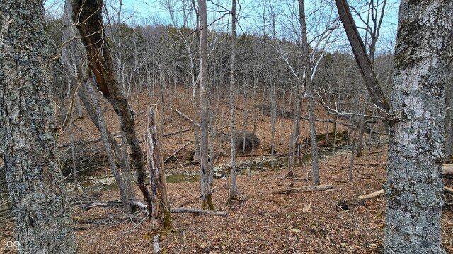 5900 S County Road 700 E, Dillsboro, IN 47018 - photo 55