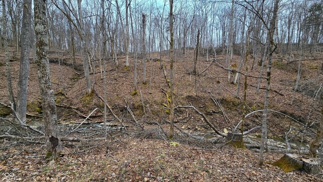 5900 S County Road 700 E, Dillsboro, IN 47018 - photo 40