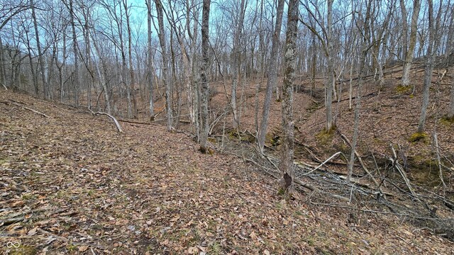 5900 S County Road 700 E, Dillsboro, IN 47018 - photo 39