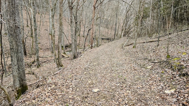 5900 S County Road 700 E, Dillsboro, IN 47018 - photo 19