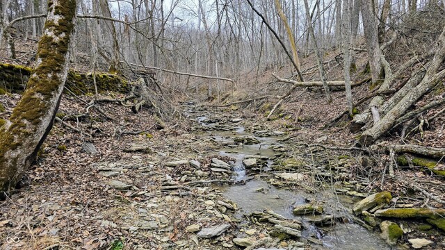 5900 S County Road 700 E, Dillsboro, IN 47018 - photo 37