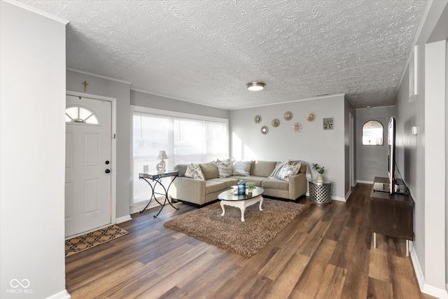 living area featuring baseboards, a textured ceiling, wood finished floors, and crown molding