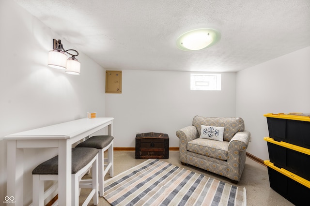 sitting room with carpet, baseboards, and a textured ceiling