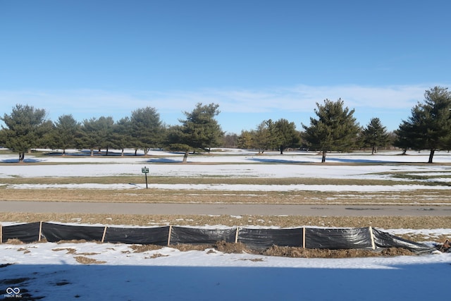 view of yard covered in snow