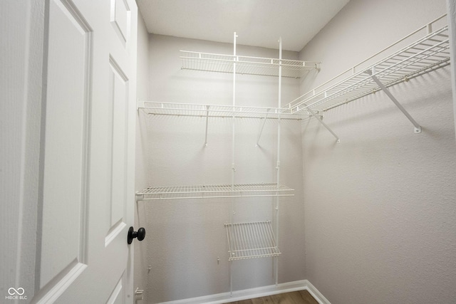 walk in closet featuring wood finished floors