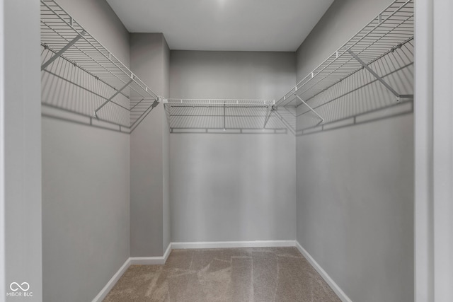 walk in closet featuring carpet