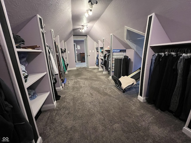 walk in closet with lofted ceiling and carpet