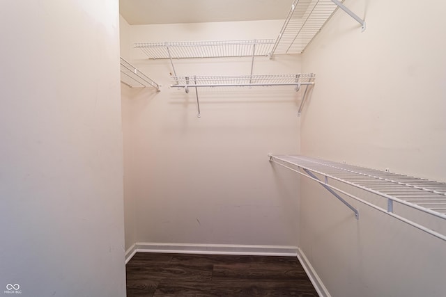 spacious closet featuring wood finished floors