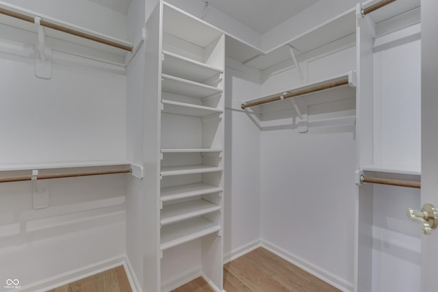 spacious closet featuring wood finished floors