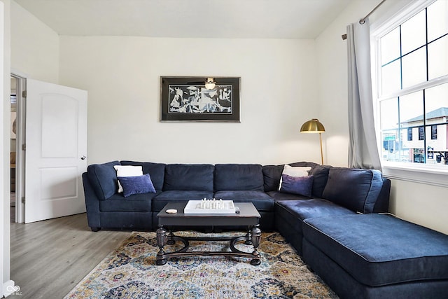 living area featuring wood finished floors