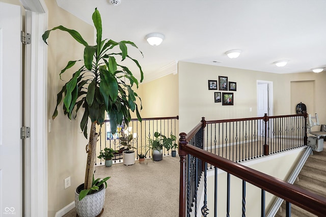 corridor with an upstairs landing