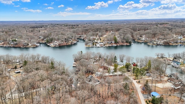 drone / aerial view featuring a view of trees and a water view