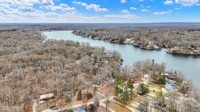 aerial view with a view of trees and a water view