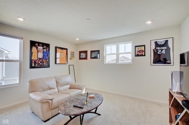 living room featuring baseboards, carpet floors, plenty of natural light, and a textured ceiling