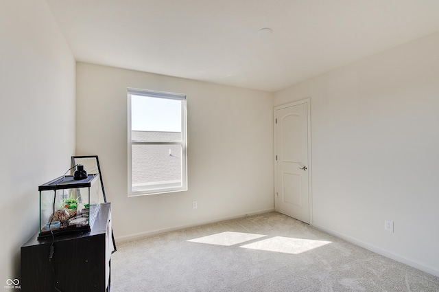 interior space with carpet and baseboards