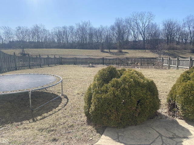 view of yard with a fenced backyard and a trampoline