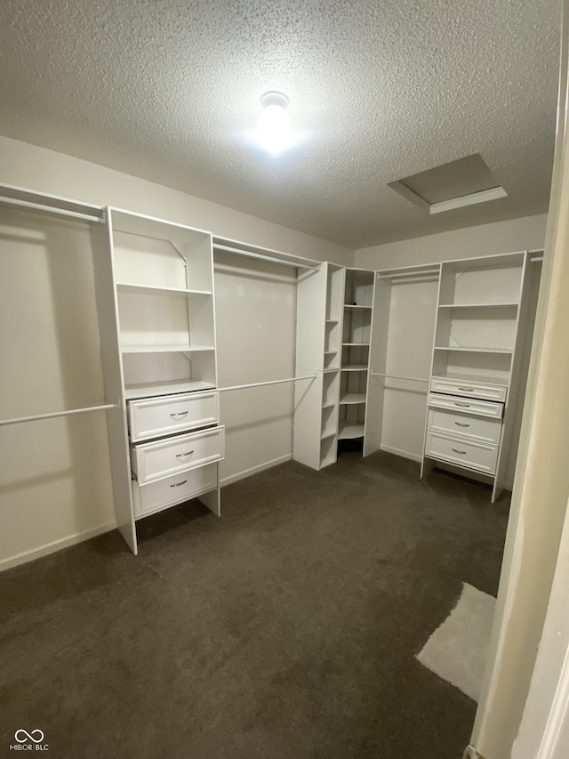 walk in closet with attic access and dark carpet