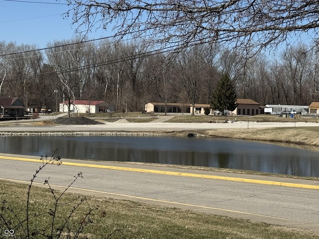 view of street with sidewalks and a water view