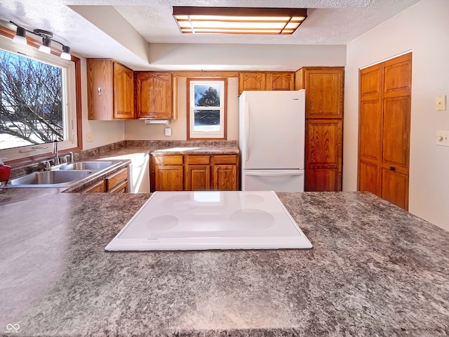 kitchen featuring brown cabinets, white appliances, a healthy amount of sunlight, and a sink