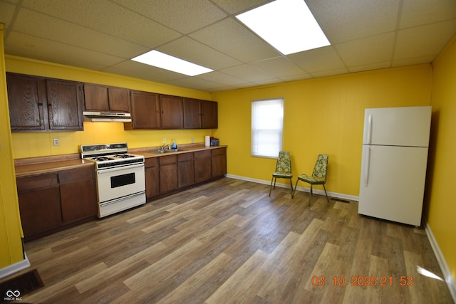 kitchen with white appliances, light wood finished floors, a sink, a paneled ceiling, and under cabinet range hood