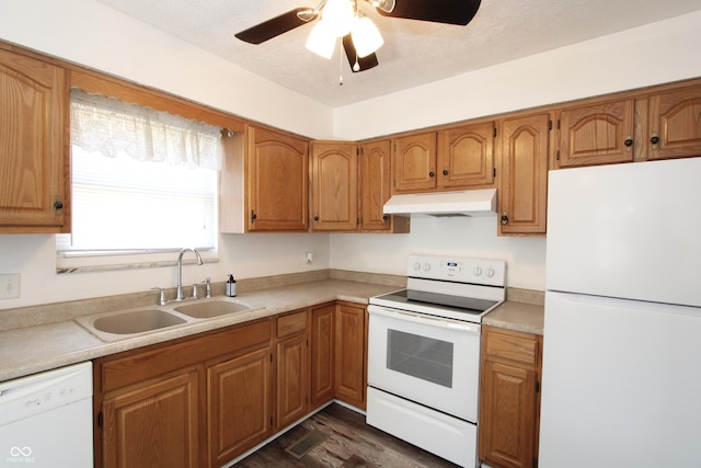 kitchen with under cabinet range hood, white appliances, brown cabinetry, and a sink