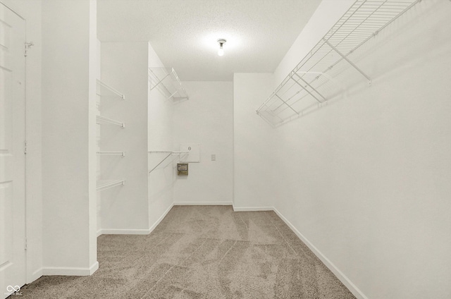 spacious closet featuring light colored carpet