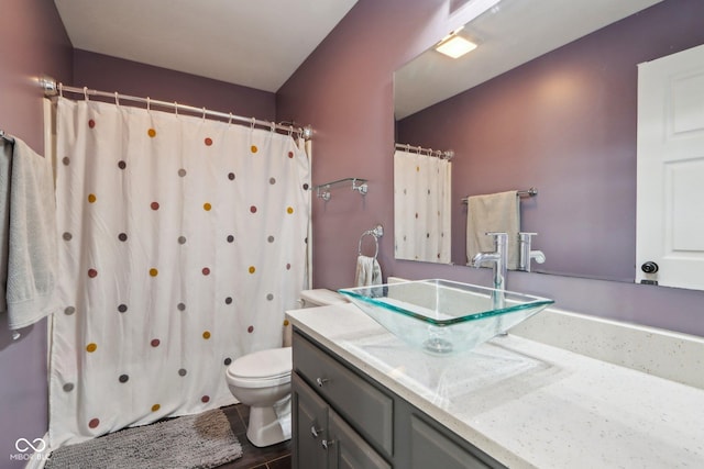 full bath featuring vanity, a shower with shower curtain, and toilet