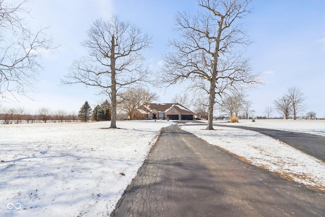 view of road with aphalt driveway