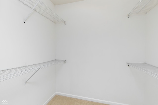 spacious closet with light colored carpet