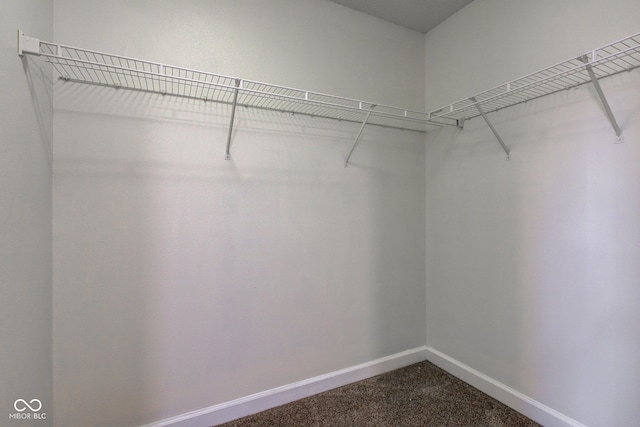 walk in closet with dark colored carpet