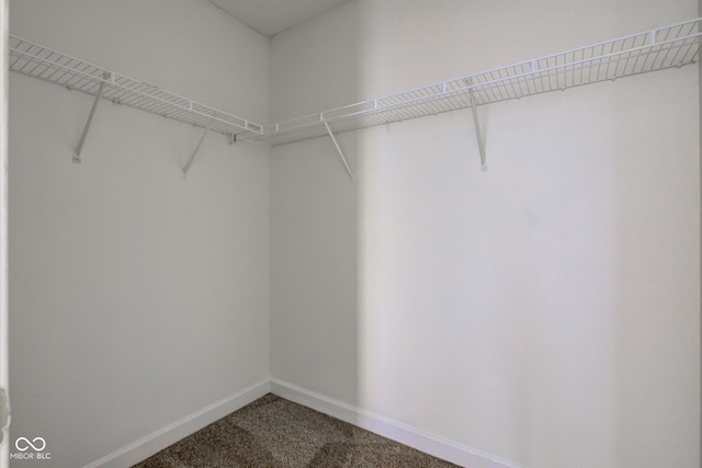 walk in closet with dark carpet