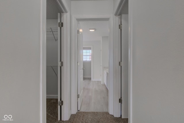 hall with baseboards and carpet floors