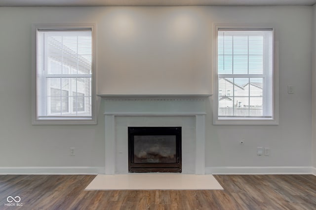 details featuring baseboards, wood finished floors, and a fireplace