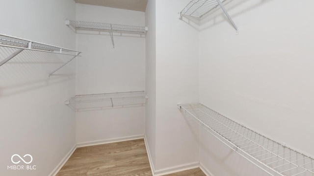 spacious closet with light wood-style flooring