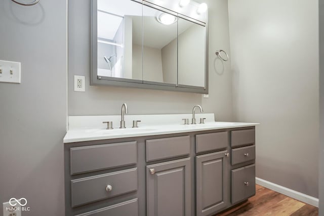 1310 Bowman Dr, Greenfield, IN 46140 - bathroom featuring a sink, baseboards, wood finished floors, and double vanity