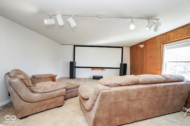 1310 Bowman Dr, Greenfield, IN 46140 - carpeted cinema with wooden walls