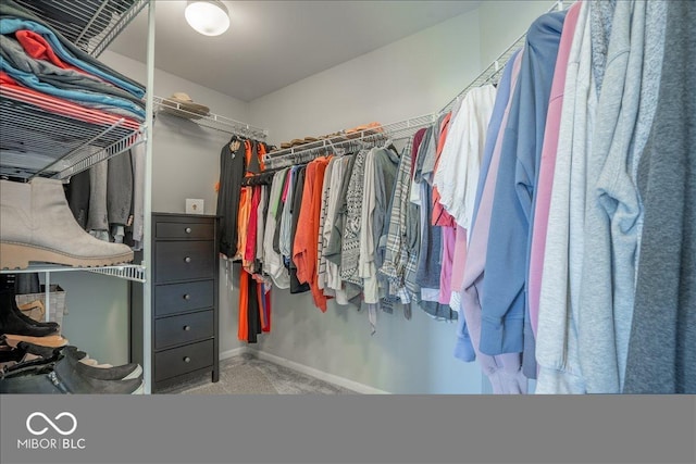 view of spacious closet