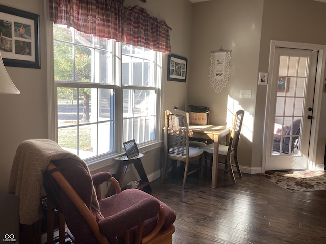 dining area featuring plenty of natural light, baseboards, and wood finished floors