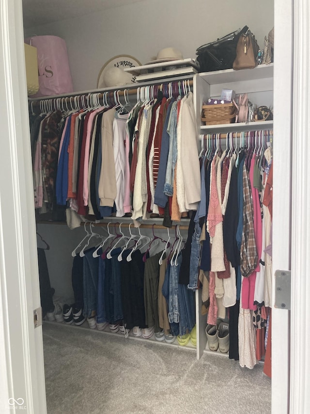 walk in closet featuring carpet flooring