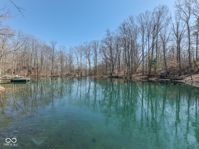 water view featuring a view of trees