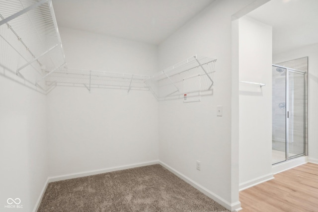 walk in closet featuring light colored carpet