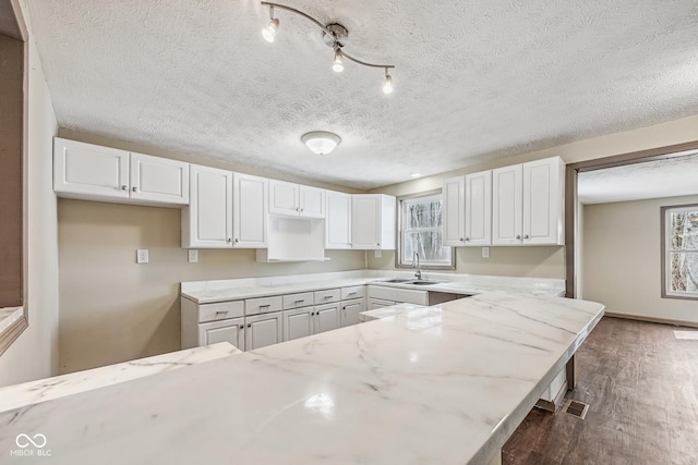 kitchen featuring a sink, visible vents, wood finished floors, and white cabinets