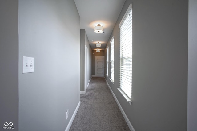 corridor with baseboards and carpet