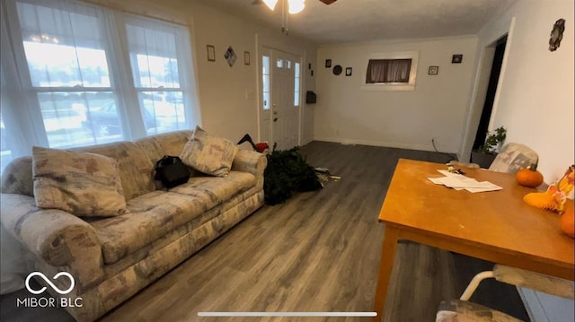 living area featuring ceiling fan and wood finished floors