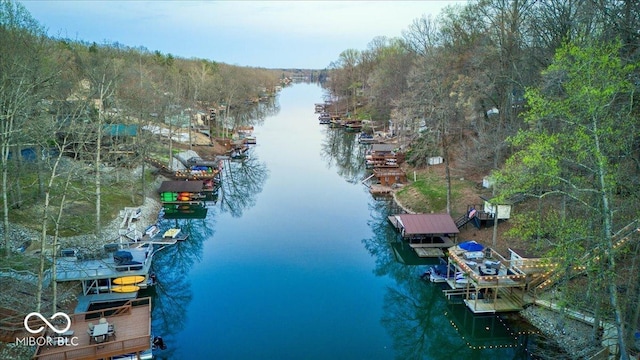 bird's eye view with a view of trees and a water view