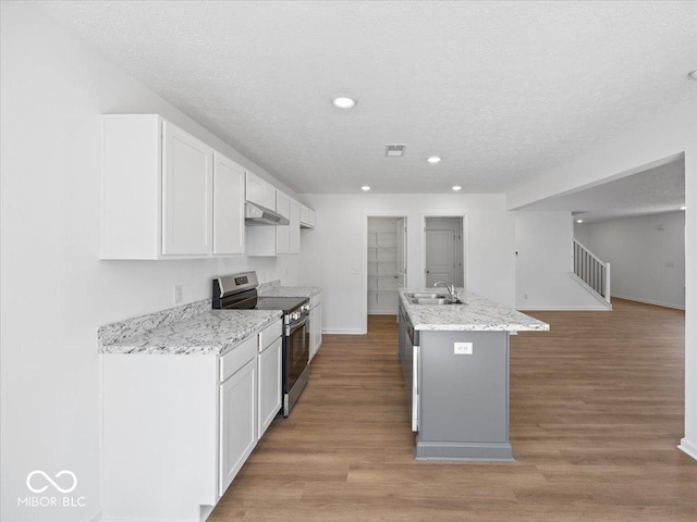 kitchen with visible vents, under cabinet range hood, light wood-style floors, stainless steel appliances, and a sink