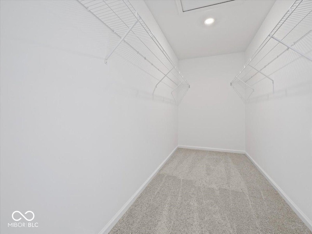 walk in closet with carpet floors